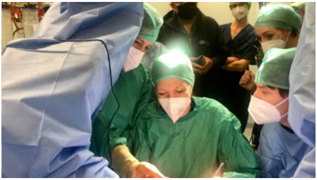 Master eCampus I° Livello in collaborazione HELP A.P.S - L’infermiere in urologia: tecniche endoscopiche e chirurgiche