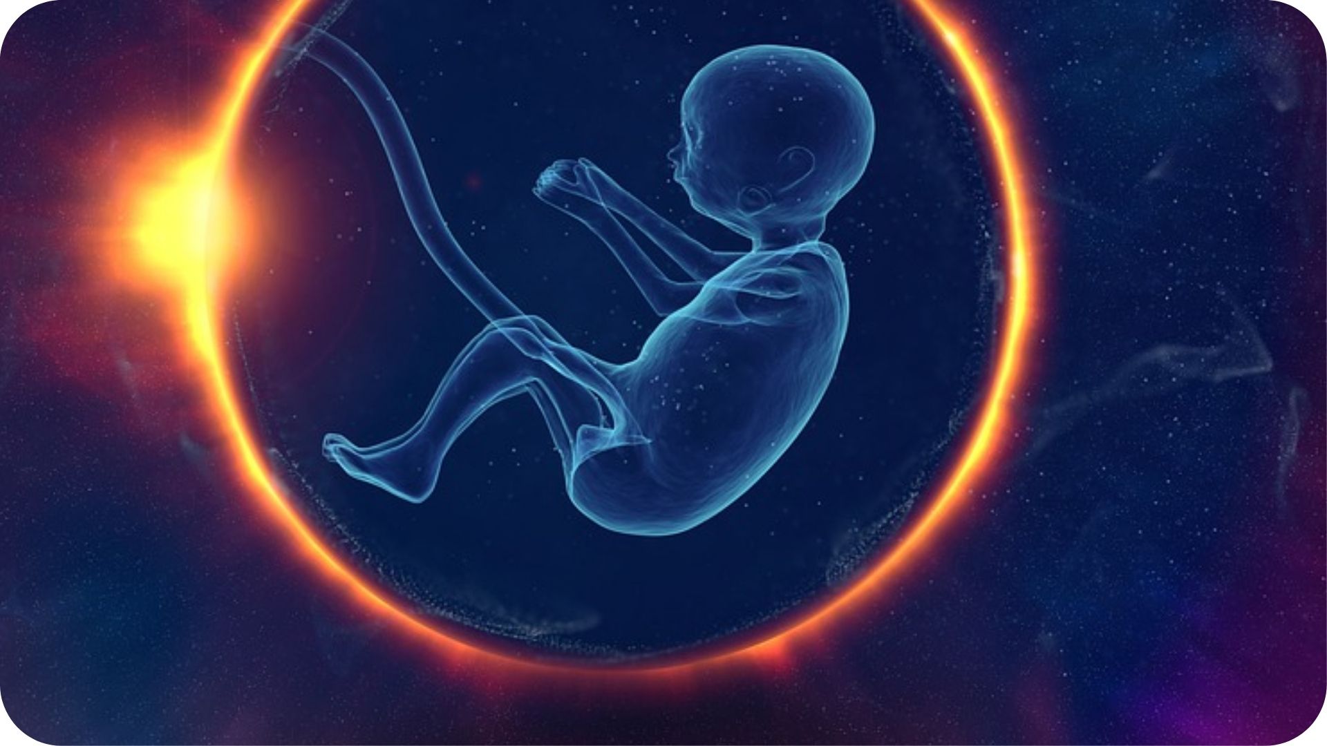 Master eCampus I° Livello - Ostetricia nella patologia della riproduzione umana e di coppia (PMA)